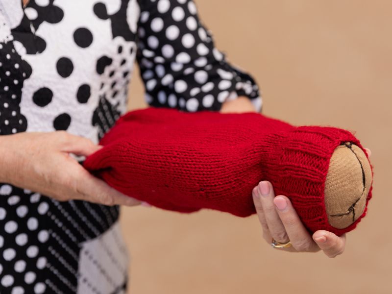 Placenta model in use