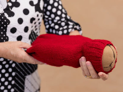 Placenta model in use